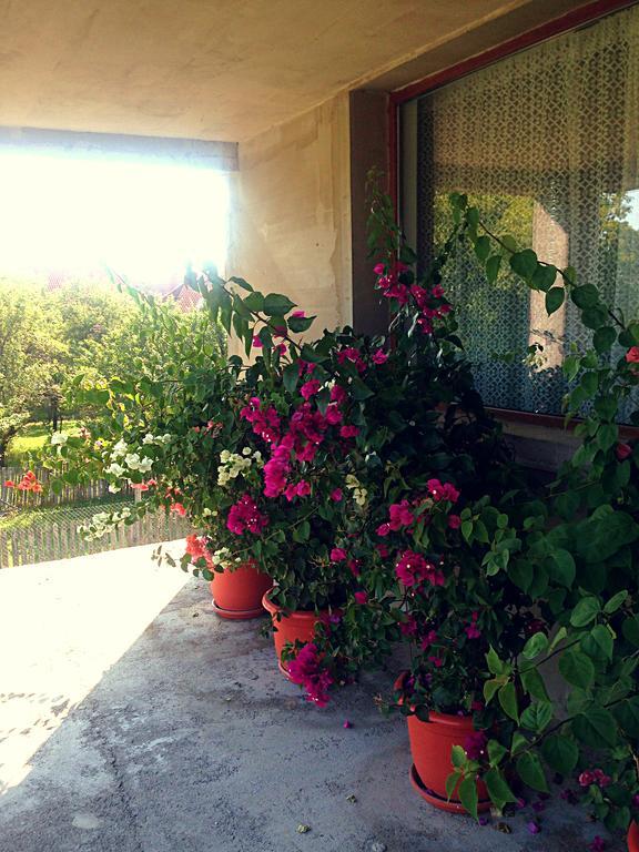 فندق Casa Renti Novaci-Străini المظهر الخارجي الصورة