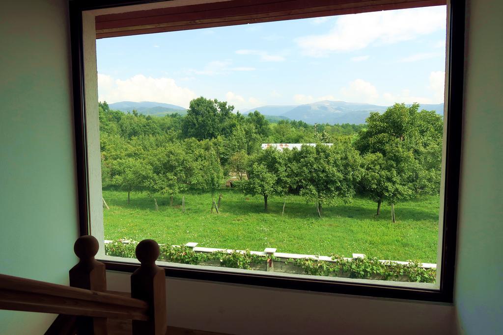 فندق Casa Renti Novaci-Străini المظهر الخارجي الصورة